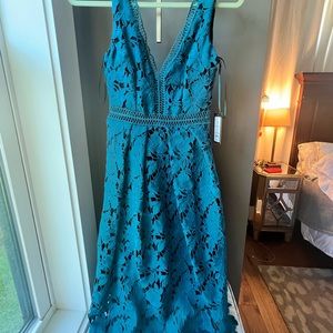 NWT gorgeous lace overlay dress